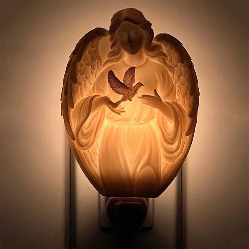 Our Lady Night Lights