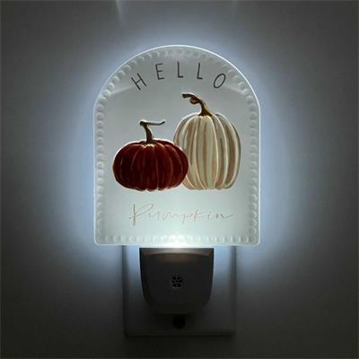 night sensor light indoor